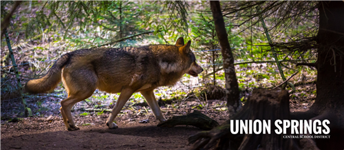 Wolves